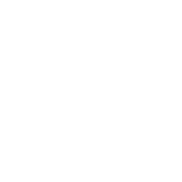 Life Style Sports