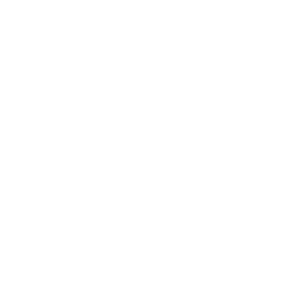 Paralympic Ireland